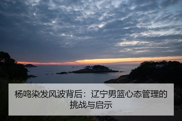 yang-ming-ran-fa-feng-bo-bei-hou-liao-ning-nan-lan-xin-tai-guan-li-de-tiao-zhan-yu-qi-shi-2-777.jpg