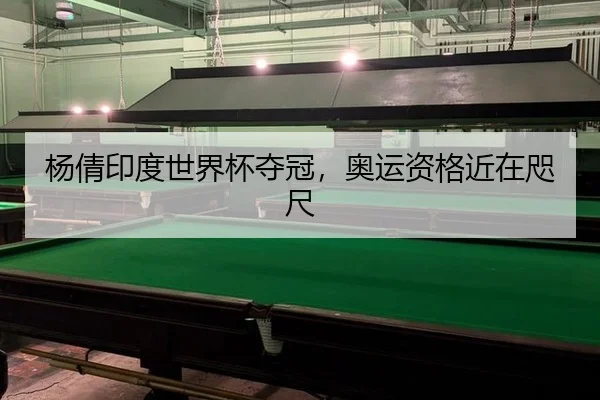yang-qian-yin-du-shi-jie-bei-duo-guan-ao-yun-zi-ge-jin-zai-zhi-chi-3-315.jpg