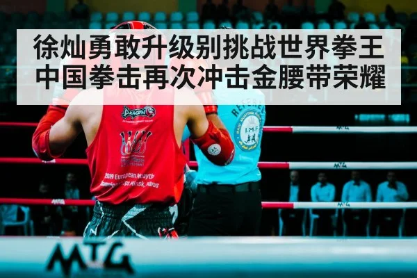 徐灿勇敢升级别挑战世界拳王 中国拳击再次冲击金腰带荣耀